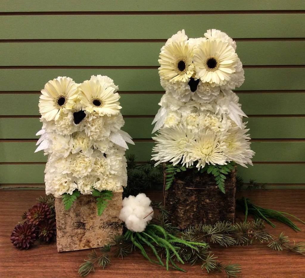 PCFlorist's tweet photo. Woo-whoo it's Friday! #owl #flowerowl #uniquedesigns #flowercreatures #loveowls #woodsy #flowershop #flowershopst… https://t.co/29DVLx6LeZ https://t.co/atDVoZH2kQ