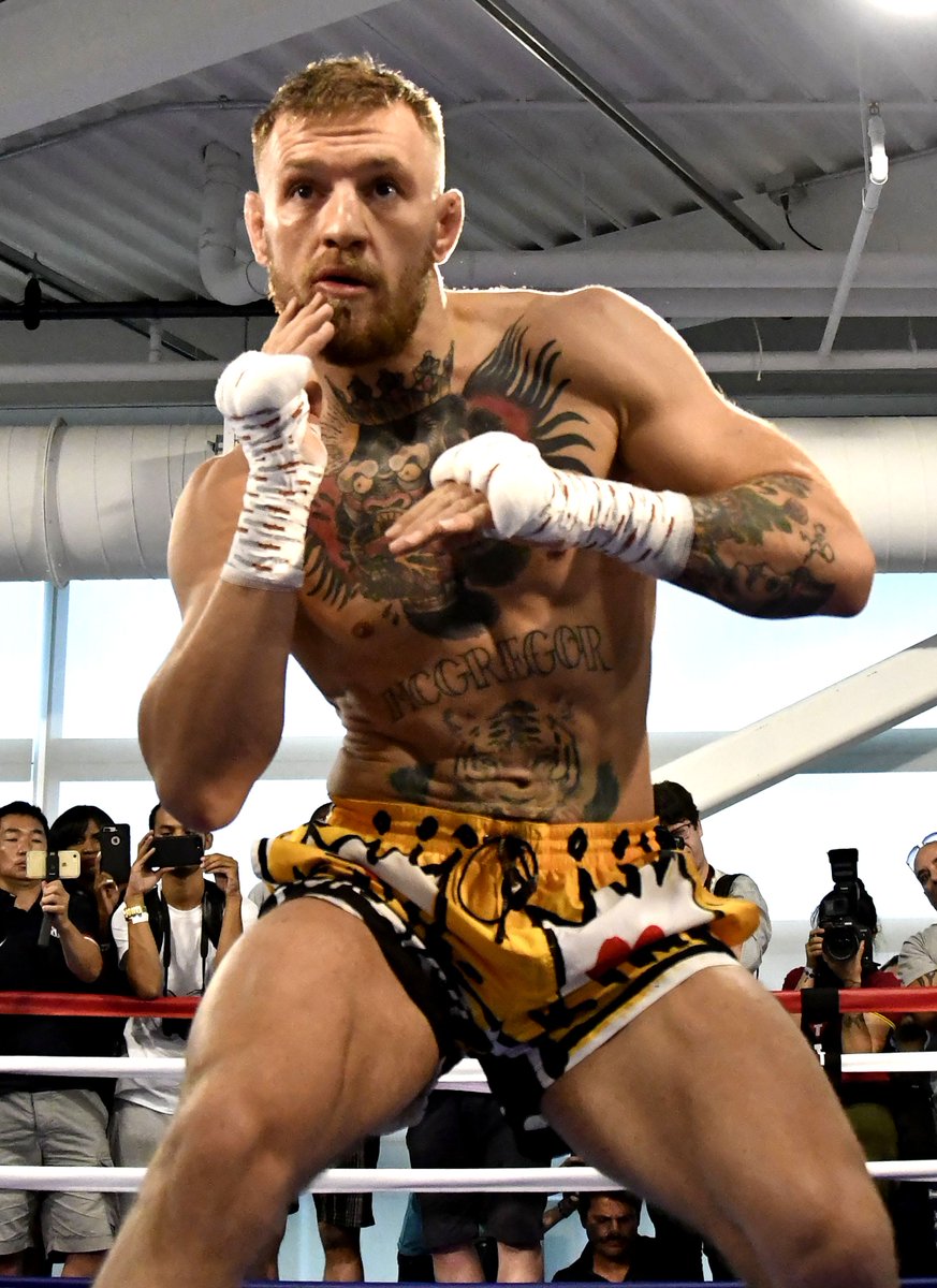 conor mcgregor everlast boxing gloves