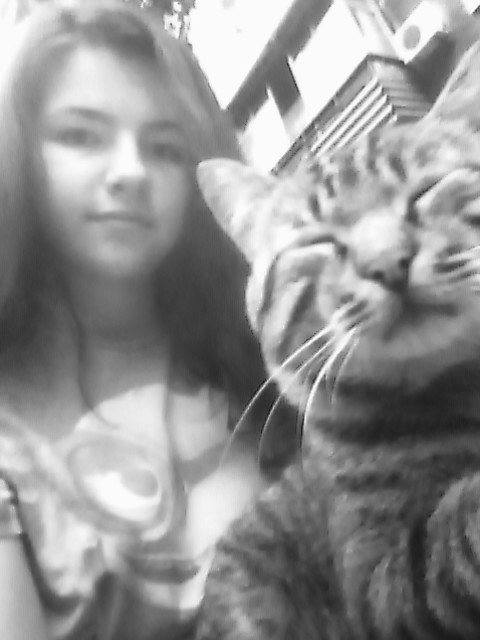 Daria O'brien tweet media