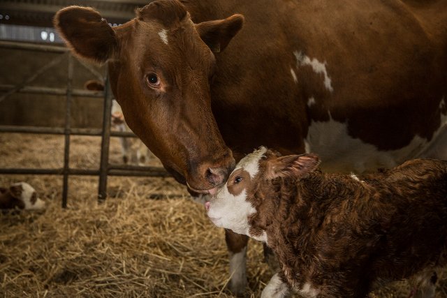 Bore Place tweet media