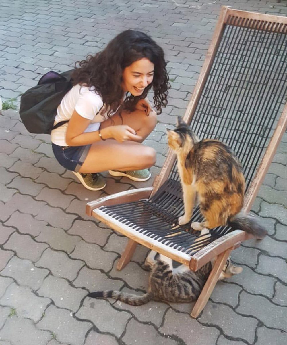 sinirlenme kedicik sadece sevecektim😼