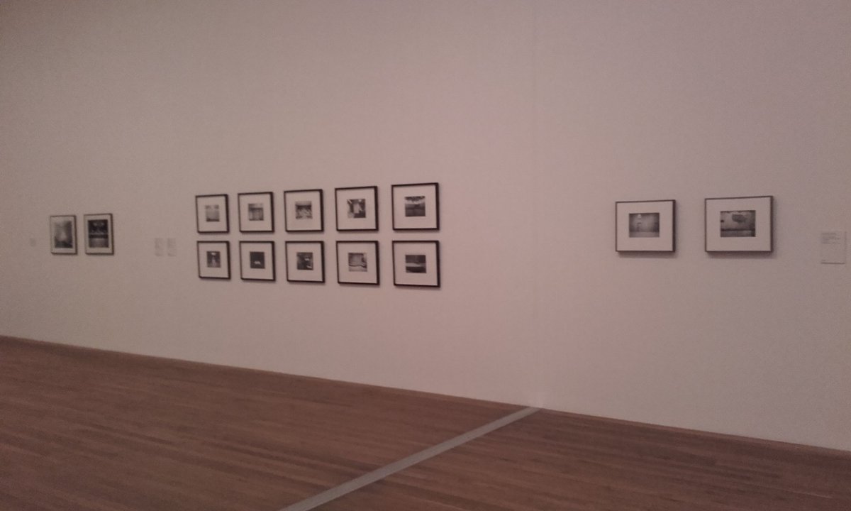 David Ben White tweet media