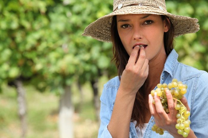 Uvasdoce's tweet photo. Esta deliciosa fruta (la #uva) es muy benéfica para tu riñón https://t.co/oLJGnONWrf https://t.co/JmSp9VCzKu
