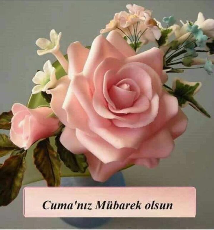 mehmet akyıldız (@makyldz717) on Twitter photo 