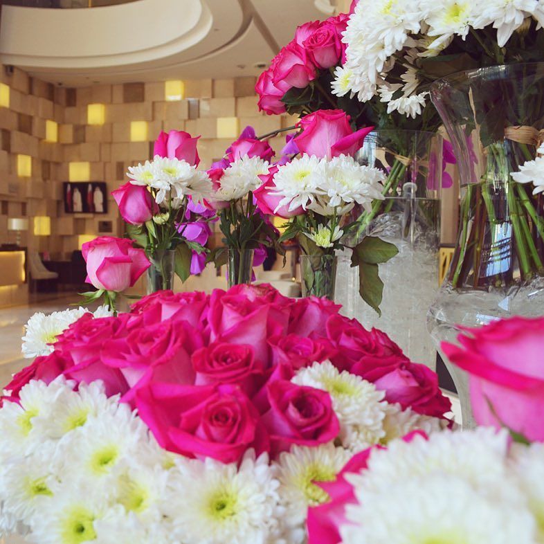 MDohaHotel's tweet photo. Happy Friday! Enjoy the weekend 😊 #FridayFeeling #Doha #MDohaHotel https://t.co/glWHVGHuIn https://t.co/wtk92C1EgM