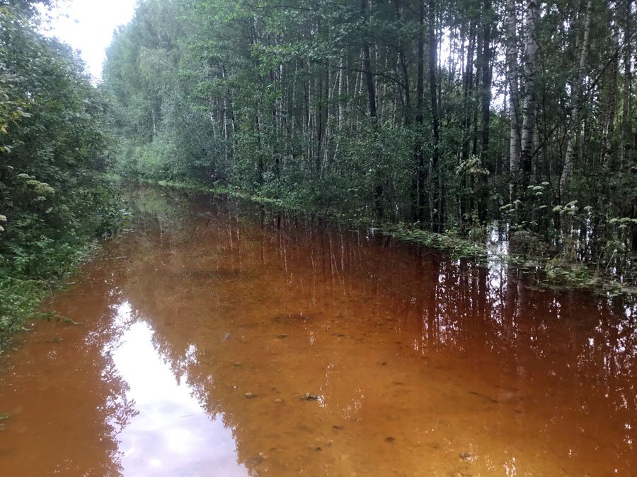 Svaigas ziņas no #SkaitāmDabu kolēģes Kārsavas apkārtnē - tā nav pārplūdusi upe, tas ir (bija) labs braucamais ceļš. 25.08.2017.