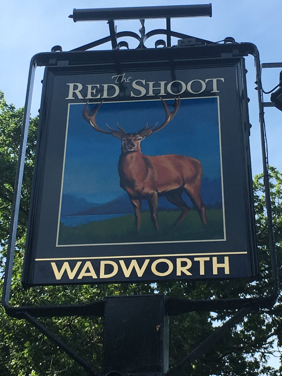 Red Shoot tweet media