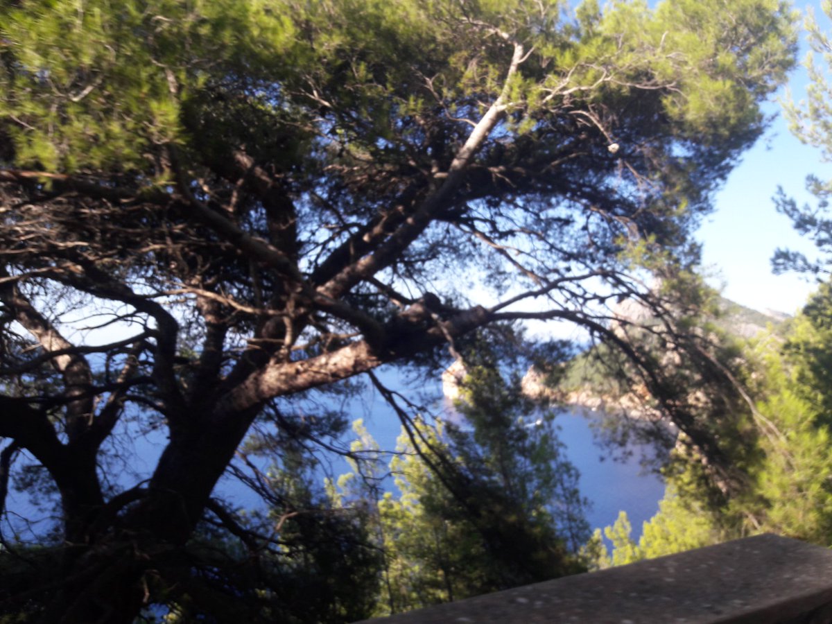 YanczykDenise's tweet photo. El paraiso escondido #mallorca #island 😍 https://t.co/qYm3Y0A9W1