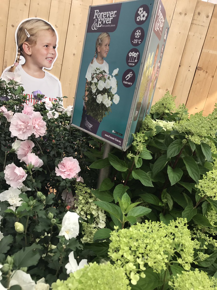 Wellicht tot straks op Plantarium stand 41.