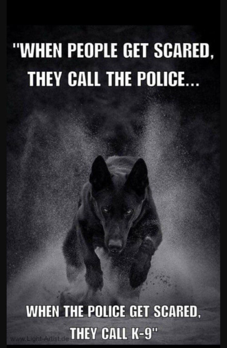 blonde999_julie's tweet photo. Let's start calling them Police Officers please because they are ! We need to get people to recognise their status #oneblueline ๐๐๐ https://t.co/c09tl0kgP6