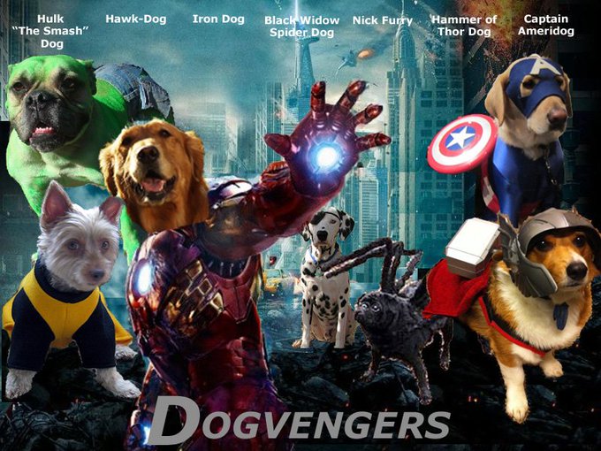 アベンジャーズ夏の犬放出キャンペーンのtwitterイラスト検索結果