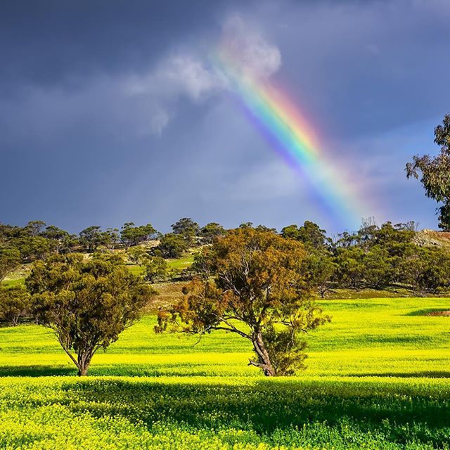 Chasing rainbows in the #AvonValley, @WestAustralia (via IG/happymatty747)