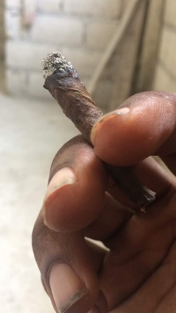 augustaveklein2's tweet photo. Morning all and Blazeee https://t.co/zkR2kZlW6Y