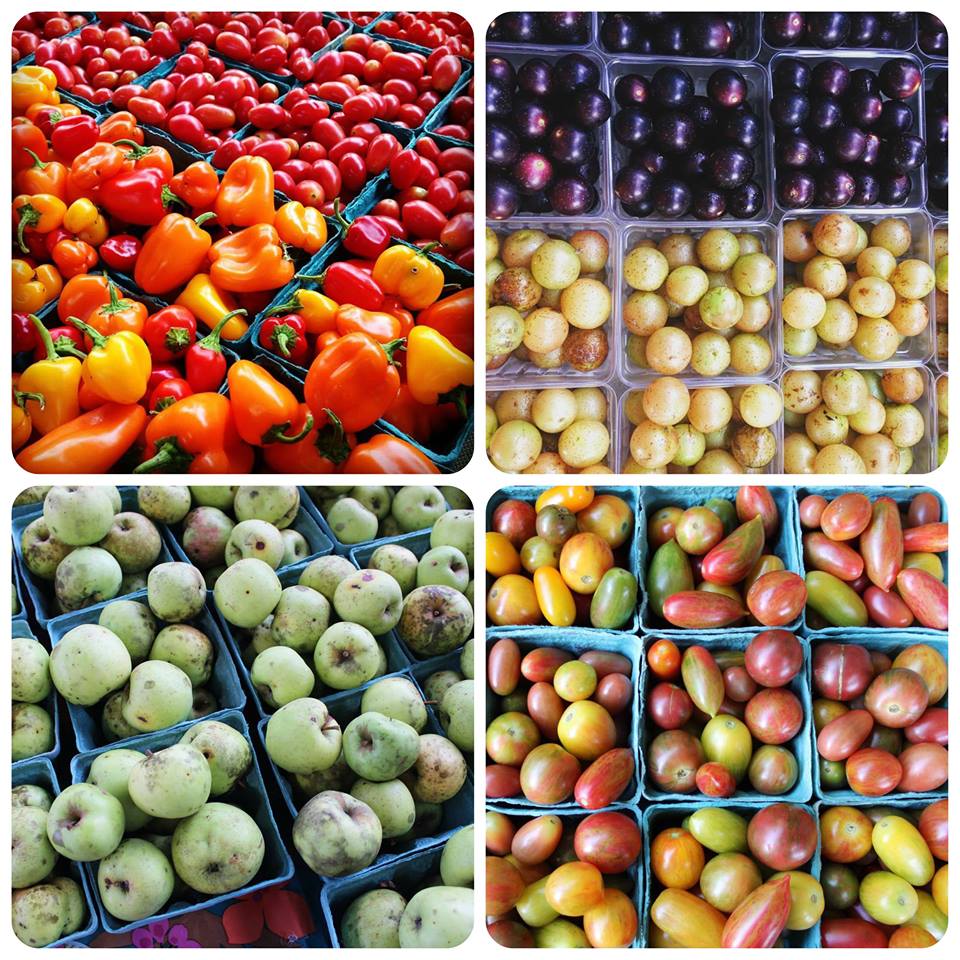 We're ready to send your kiddos back-to-school with nutritious food to be STRONG! conta.cc/2iwA29S