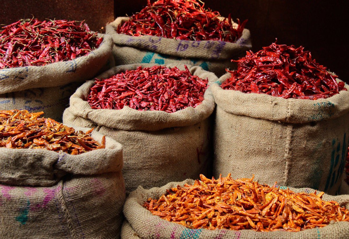 Lodestars Anthology tweet media