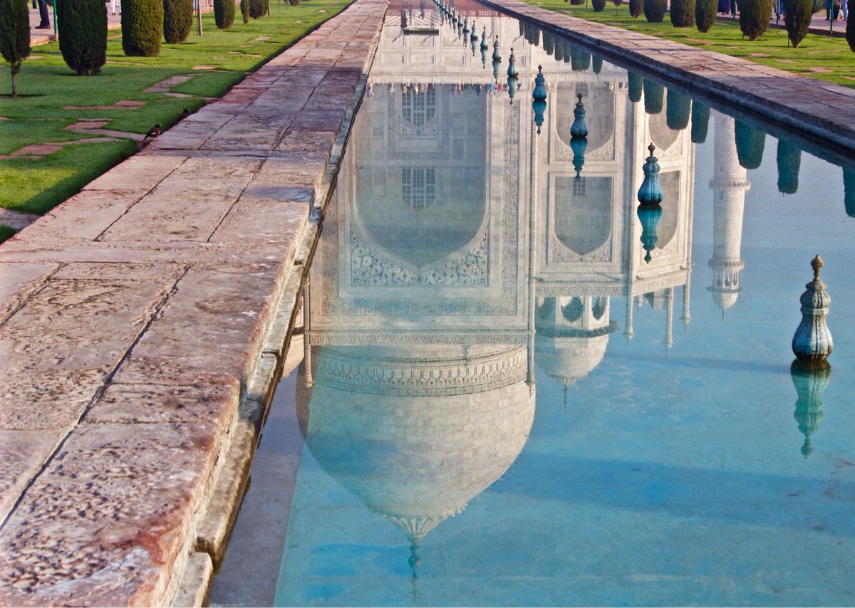 Lodestars Anthology tweet media