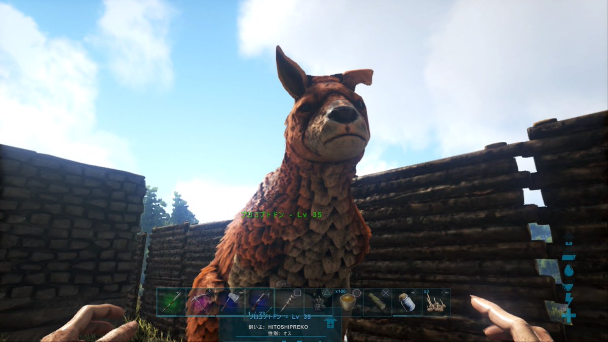 プレコ Ps4share Ark カンガルーテイム お久しぶり Ps4share