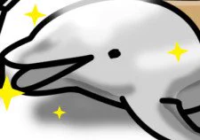  イルカをツルツルにする仕事イルカの尾びれでパタパタ扇がれたいなぁ拡散希望です!よろしくです!#イルカ #Dolphin #水族館 #Aquarium #秘密のお仕事 #WANIBOOKOUT 