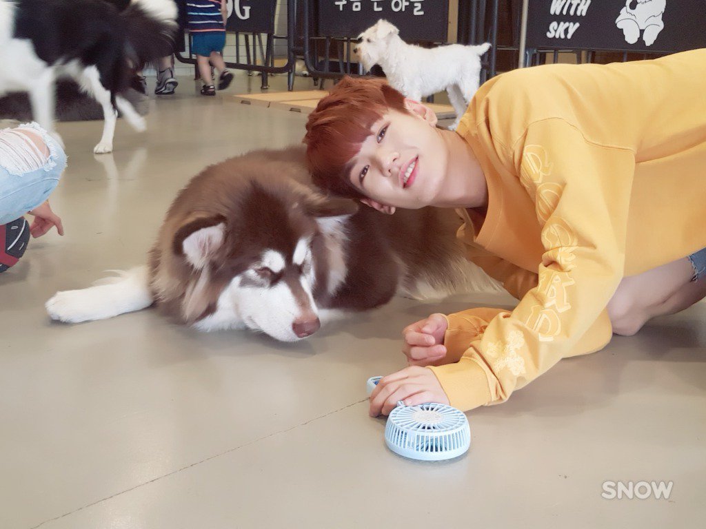 UP10TION_TH's tweet photo. [PIC] 170825 10TION NOTE UPDATE -4-
#UP10TIONPlease Behind The Scene (Part 2) 
#UP10TION #업텐션 ► https://t.co/K0rJ7ynDkM https://t.co/d4KcCsNt9F