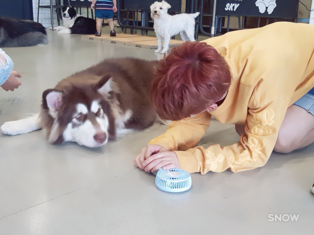 UP10TION_TH's tweet photo. [PIC] 170825 10TION NOTE UPDATE -4-
#UP10TIONPlease Behind The Scene (Part 2) 
#UP10TION #업텐션 ► https://t.co/K0rJ7ynDkM https://t.co/d4KcCsNt9F
