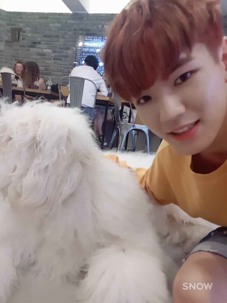 UP10TION_TH's tweet photo. [PIC] 170825 10TION NOTE UPDATE -5-
#UP10TIONPlease Behind The Scene (Part 2) 
#UP10TION #업텐션 ► https://t.co/K0rJ7ynDkM https://t.co/wfO0gYLoQD