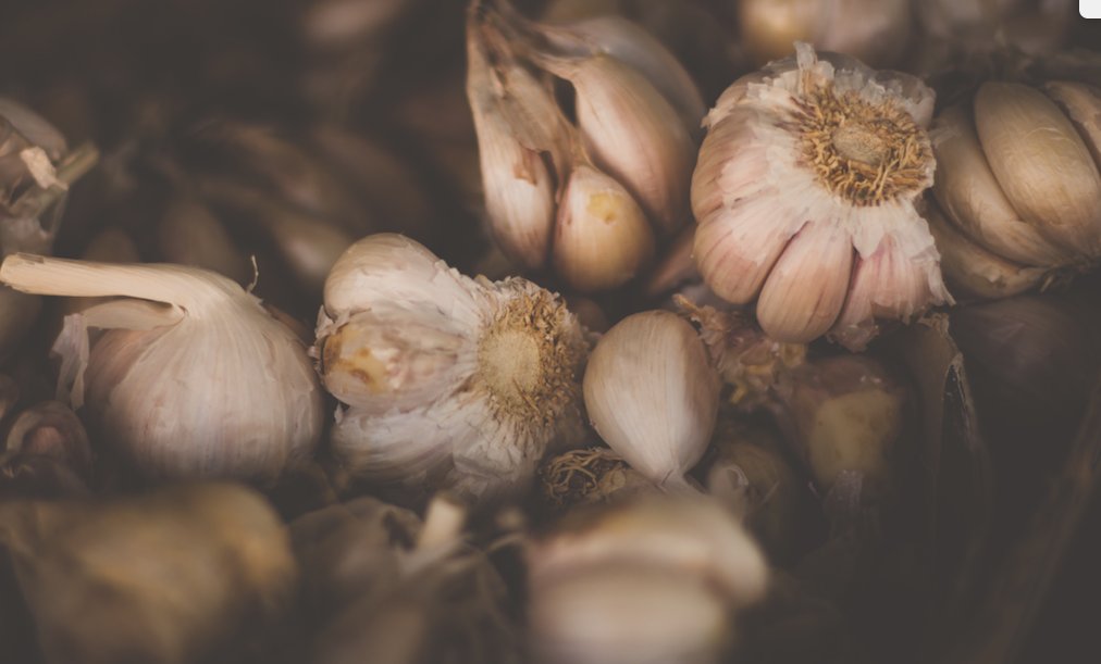 mariapecoff's tweet photo. Garlic is an antioxidant, can help lower blood pressure &amp; cholesterol, while boosting the immune system. We are what we eat! #Reflexologist https://t.co/dD9dTKKSVW