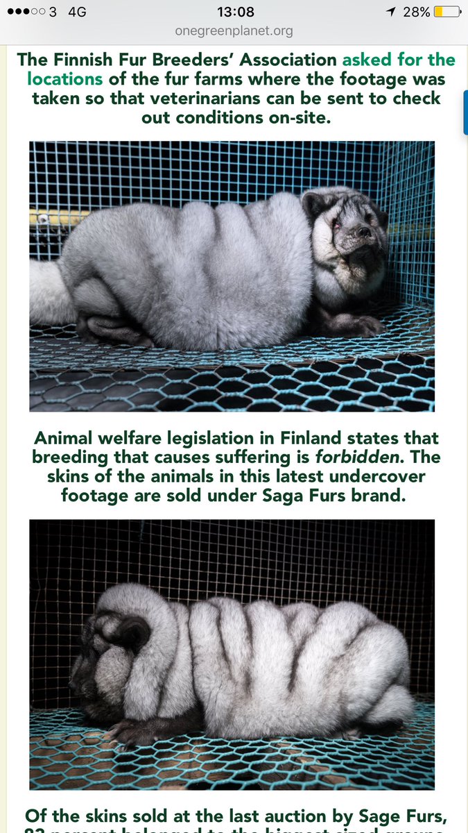 CharlotteFisher's tweet photo. Just when I thought I'd seen it all... please don't support the fur trade, it is diabolical. #fauxforever #furisevil https://t.co/kUiywhApsY