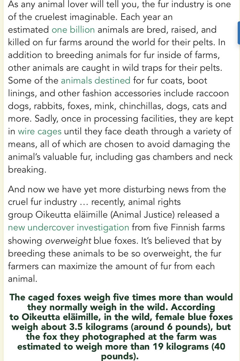 CharlotteFisher's tweet photo. Just when I thought I'd seen it all... please don't support the fur trade, it is diabolical. #fauxforever #furisevil https://t.co/kUiywhApsY