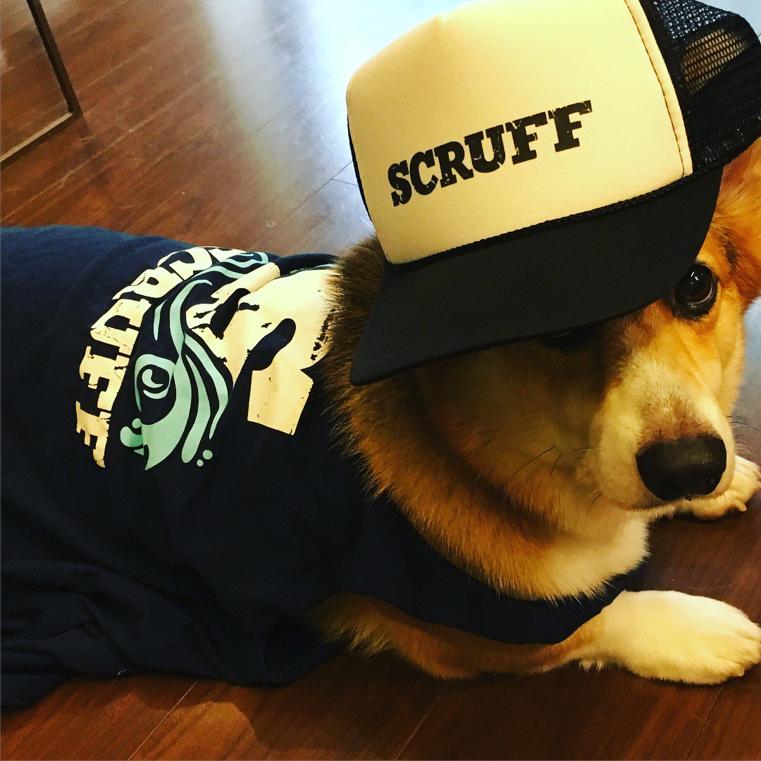 VitaTokyo's tweet photo. SCRUFFメンバーに朗報✨
9/2(土) VITA Dragonflyプールパーティーで、アプリのイベント参加表明画面をご提示下さい。
先着で、SCRUFFFキャップ、タンクトップ等を ✨Shigueru✨からプレゼント!
#VITA #PoweredBySCRUFF https://t.co/N8JaCWggaS