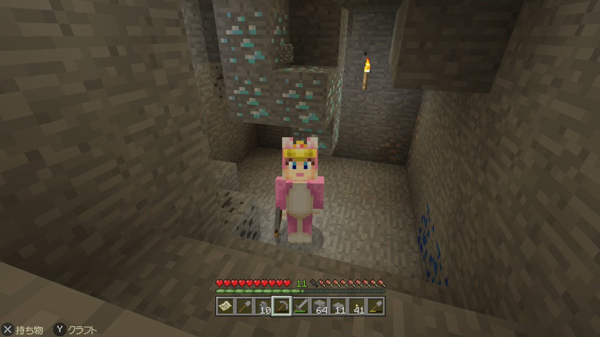 さいちゃん V Twitter 洞窟探検で ダイヤ 鉄 ラピスラズリを見つけたよ Minecraft マイクラ Nintendoswitch