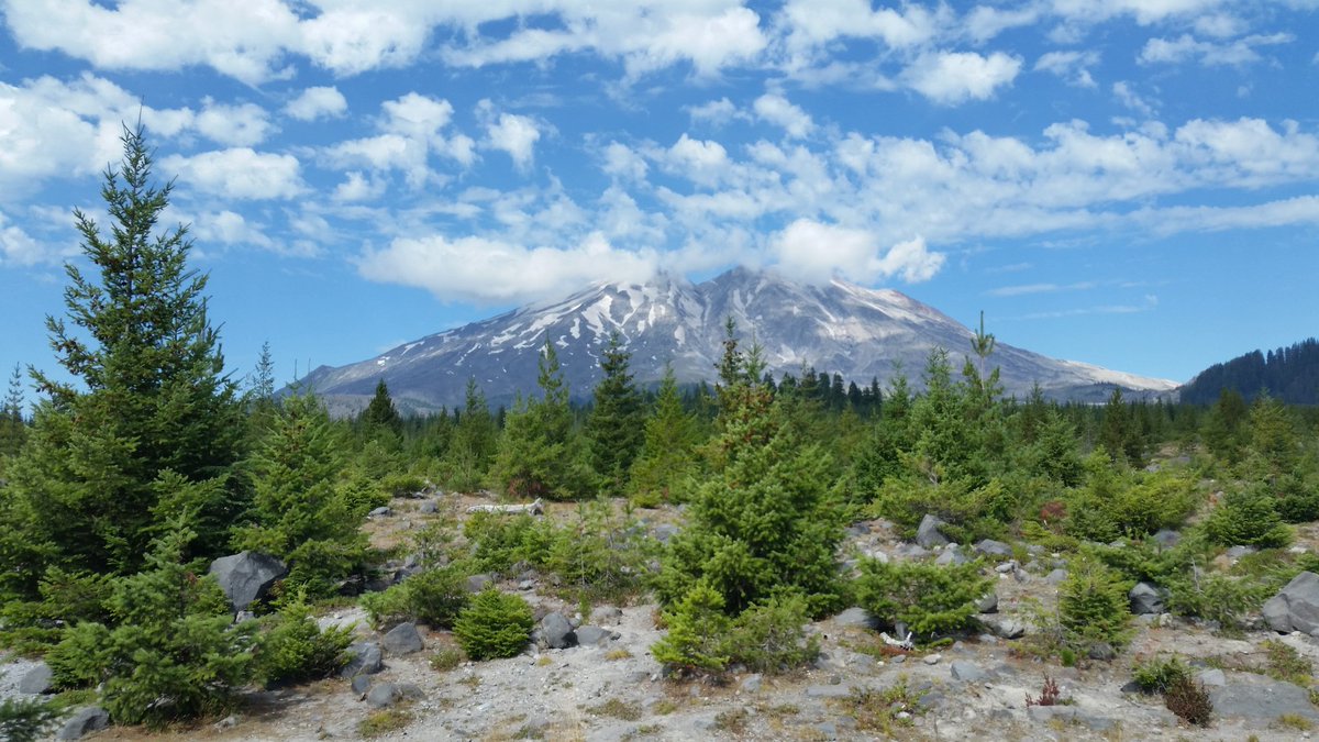 nwdgaf's tweet photo. Went camping at Mt St Helens with my lady and my boys. It was amazing. #apecaves #lavacanyon #StHelens #beaverbay https://t.co/DMlT9kO0QG