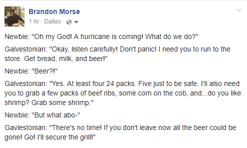 Brandon Morse tweet media