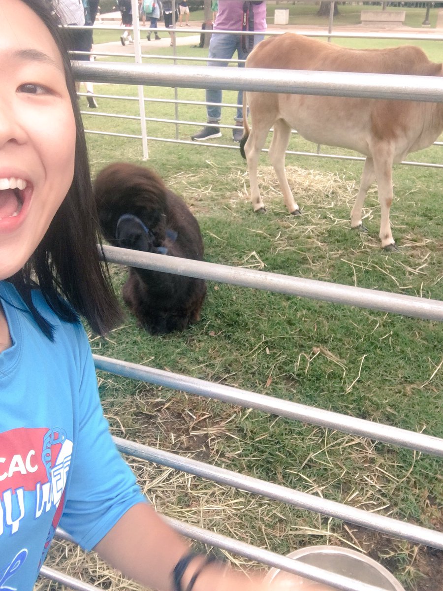 mitokhanhdria's tweet photo. Thank you Howdy Week for the petting zoo!!! @OUCAC #HowdyWeek2017 https://t.co/EbaUPQ66rl