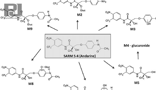 psychonomicj's tweet photo. SARMs: Is It Effective For You?
https://t.co/FitfUZgtYk
#sarms #lgd4033 #mk2866 #gw501516 #s4 https://t.co/jt3X1kdlpR