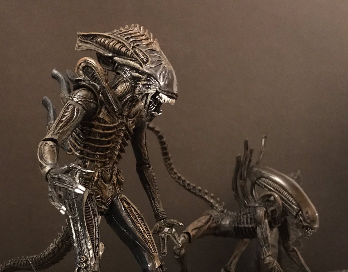 trophyhuntertoy's tweet photo. @NECA_TOYS two beautiful new xenos! Review of defiance and covenant xenos https://t.co/0jLxqP918f https://t.co/YMGmKc1Ief