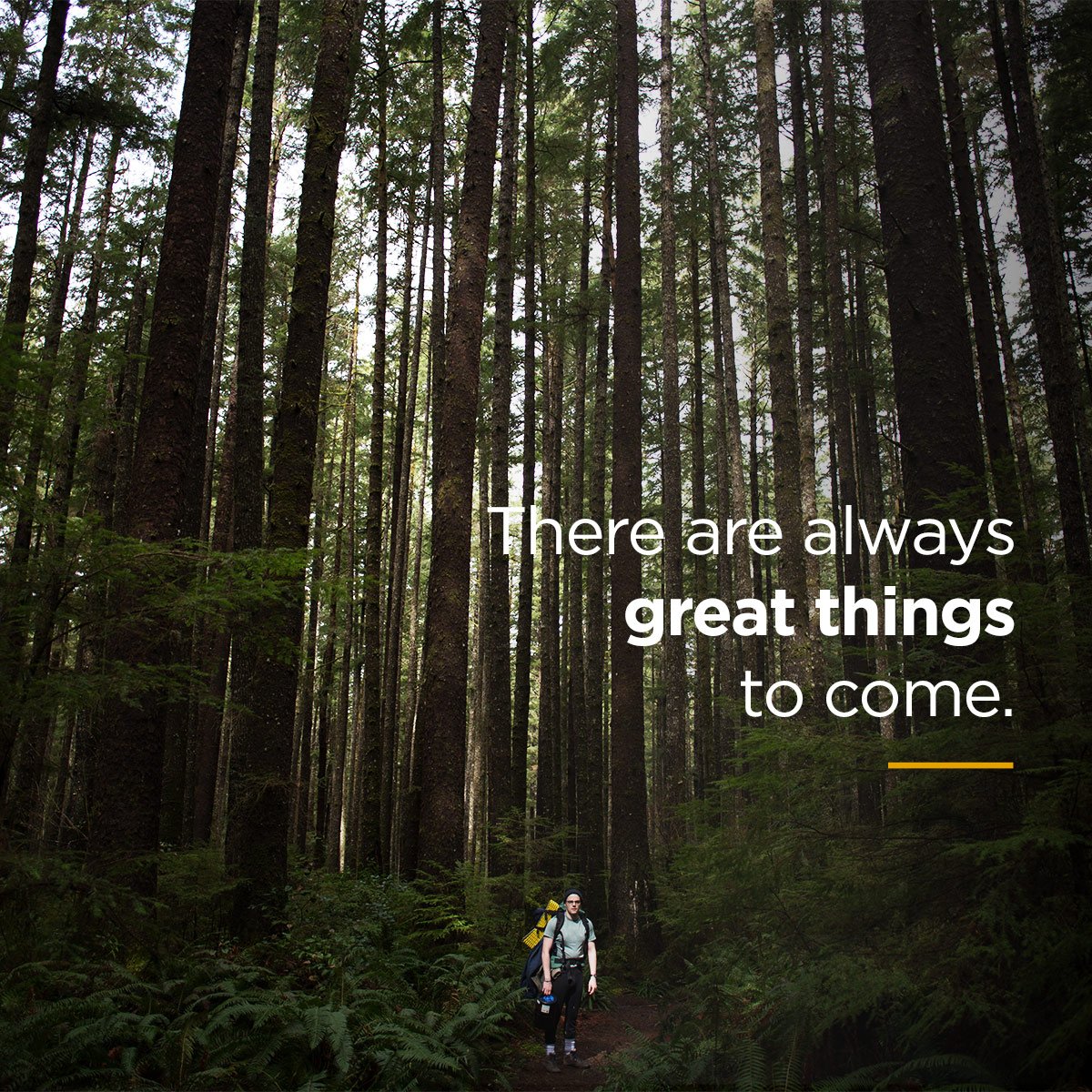 Always Smiling tweet media