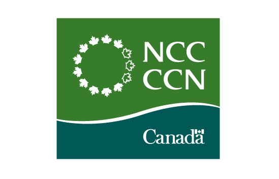 #NCC works to improve deteriorating assets that could pose health concerns:   bit.ly/2wuDOWX #ottnews https://t.co/TkCvFQSAfh