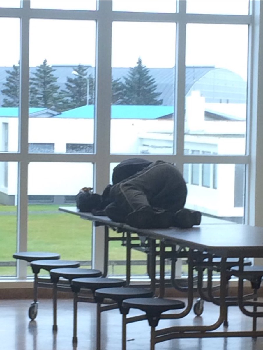 sofandifs's tweet image. 