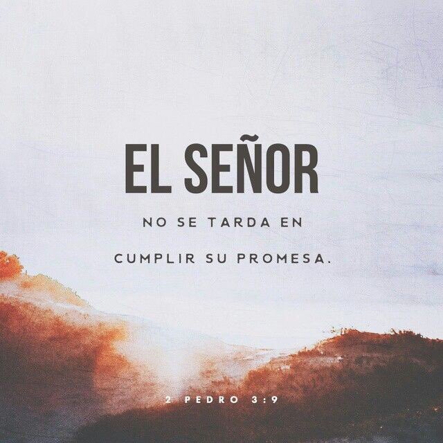 MajestadArg's tweet photo. Él es Fiel y Verdadero! https://t.co/MqRxtlNAki