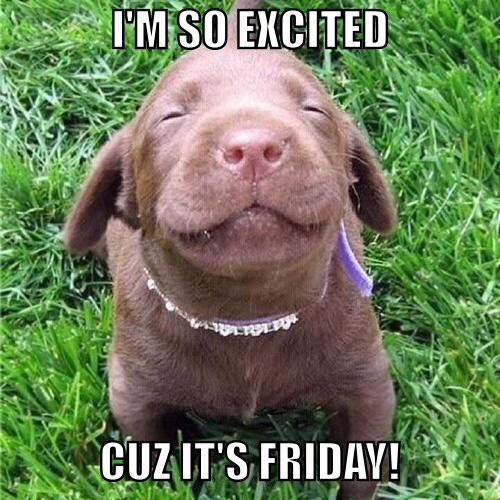 LLRSuzanneRenee's tweet photo. Good morning beautiful ladies! Have a great day! Show me how you're Roeing! https://t.co/C9FLJH9sGf