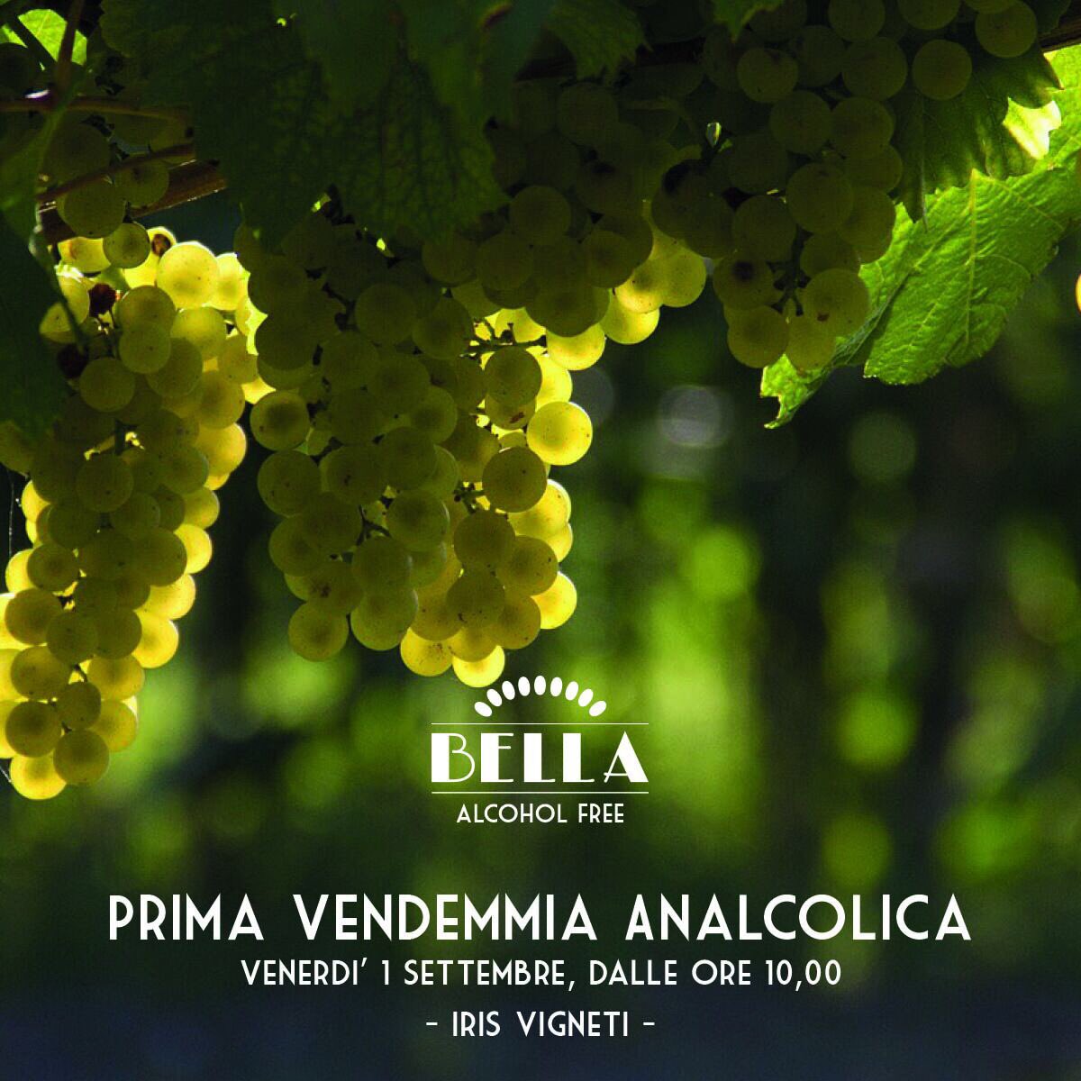 bubblingIsa's tweet photo. Una mattinata tra benessere, salute e solidarietà tra i filari dell'azienda Iris Vigneti, Venerdì 1 Settembre a Mareno di Piave. https://t.co/aao8TBGQzS