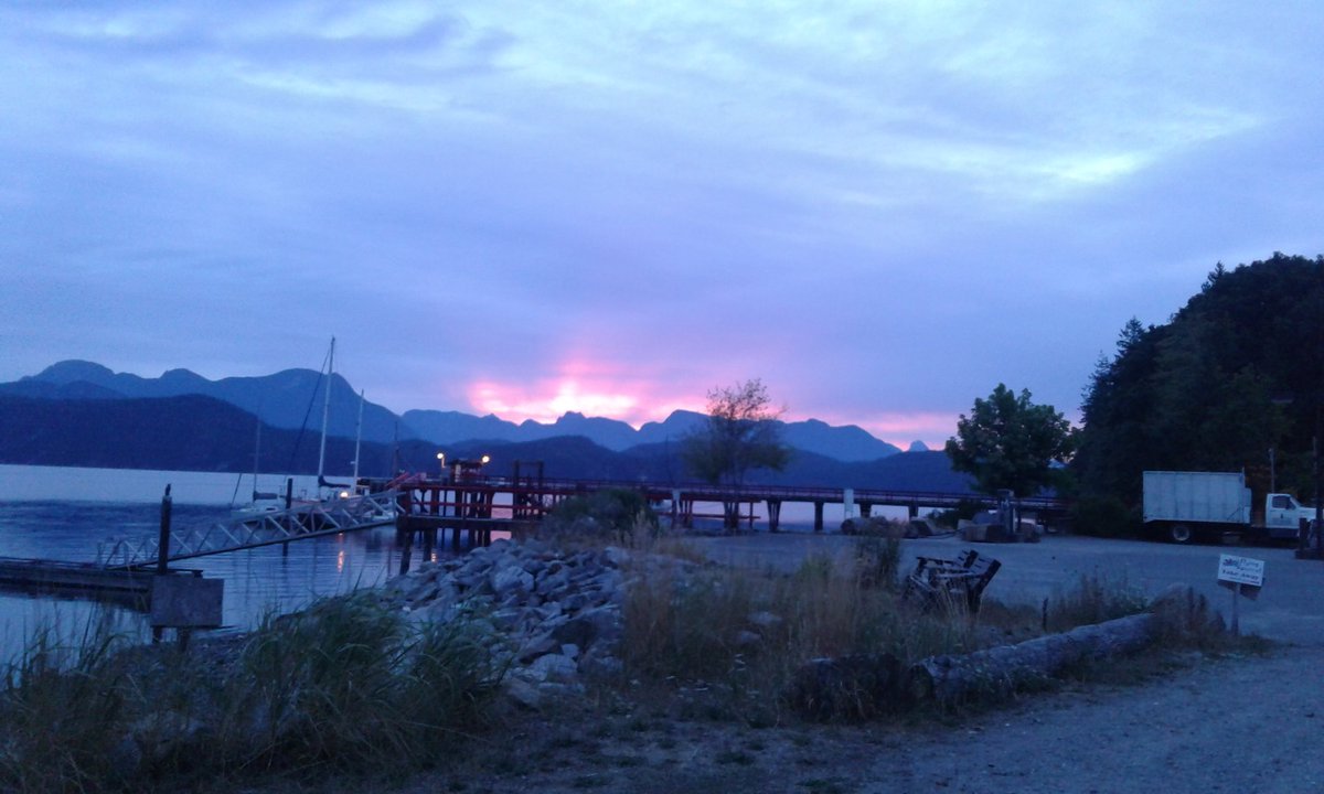 MistickFarm's tweet image. In the middle of koffs and pain there is beauty. God's gift