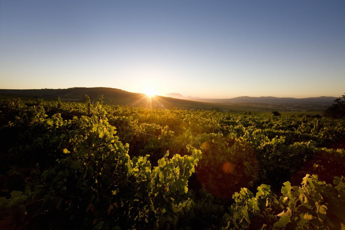 Een strandwandeling, wijnproeverij en genieten van het unieke uitzicht over de Hemel en Aarde Vallei! 
YOUR DRIVE, THEIR FUTURE! #GFT2018
