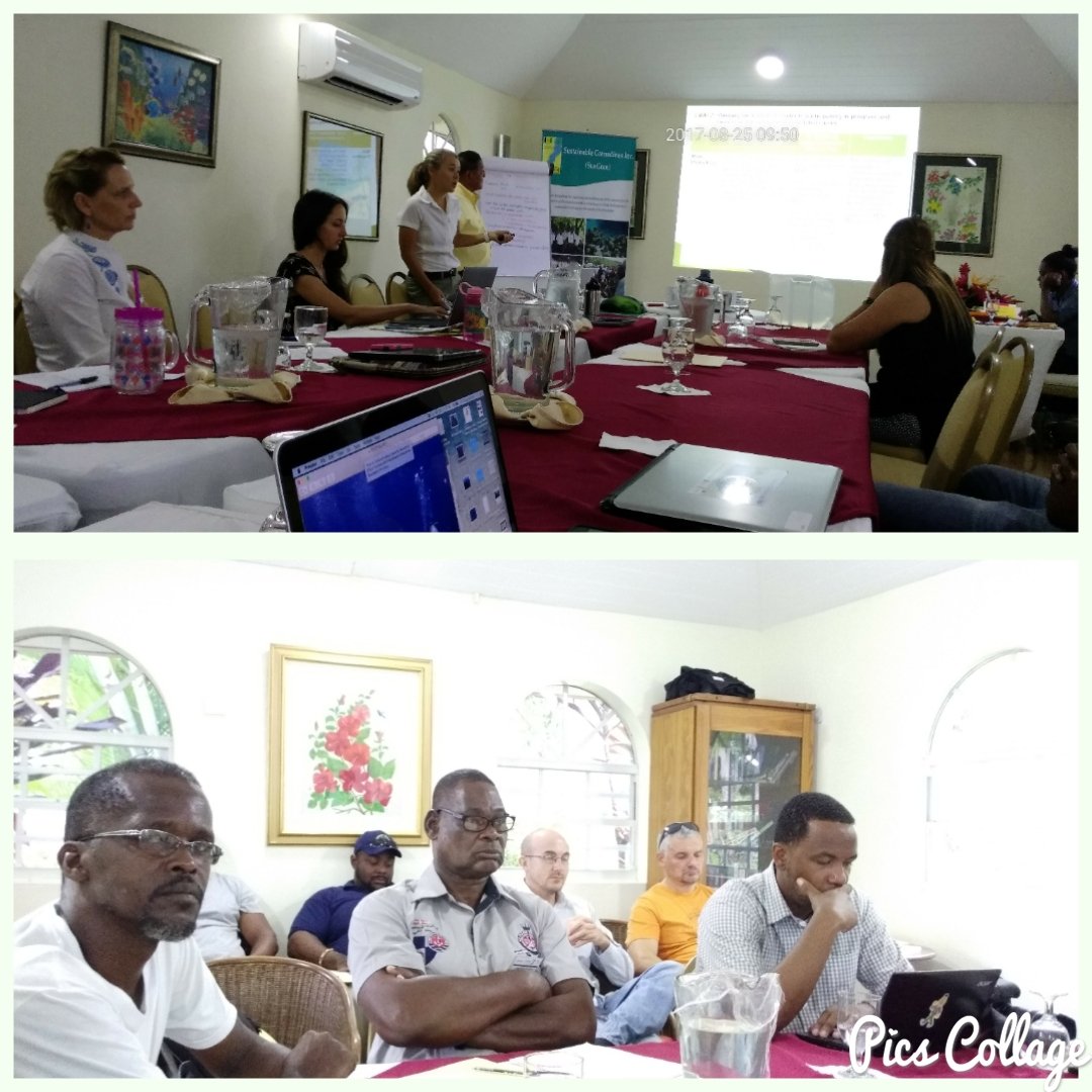 🇬🇩 Davon 🇬🇩 tweet media