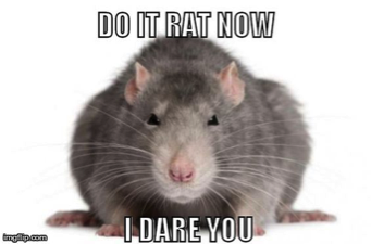 masters_pest's tweet image. Removing rodents can be difficult. #PestHumor