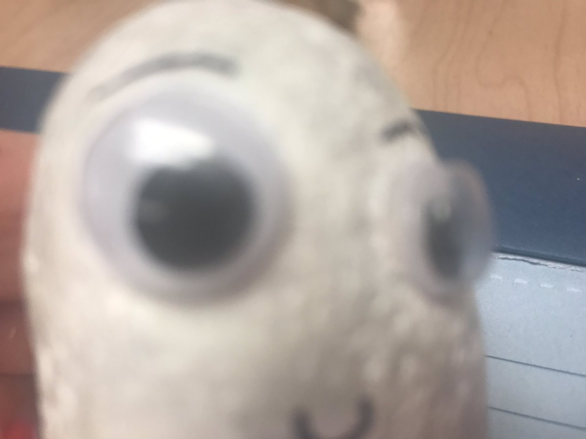 XeyeEgghead tweet picture