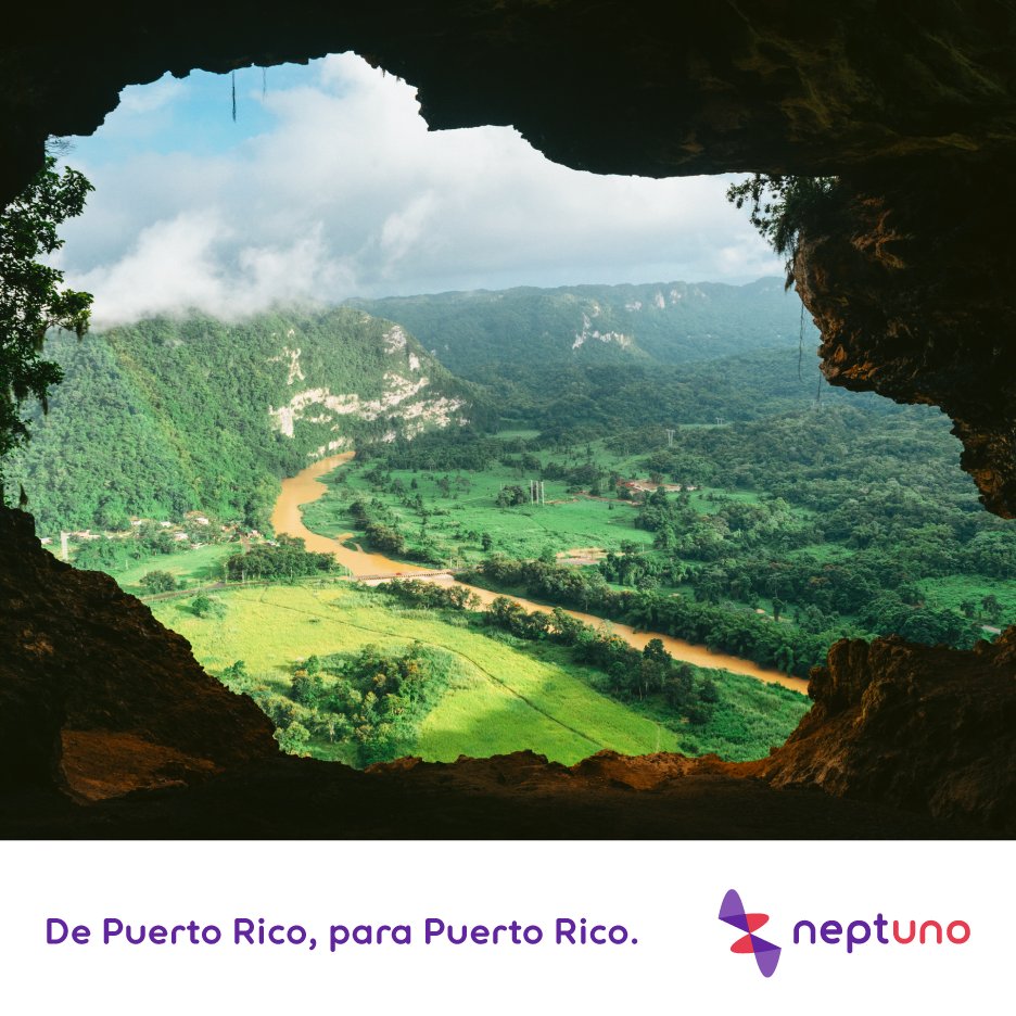 NeptunoNetworks's tweet image. nPoderamos negocios y hogares en Puerto Rico con Soluciones Tecnológicas y de Telecomunicaciones. #FutureProof #SeamlessTechnology