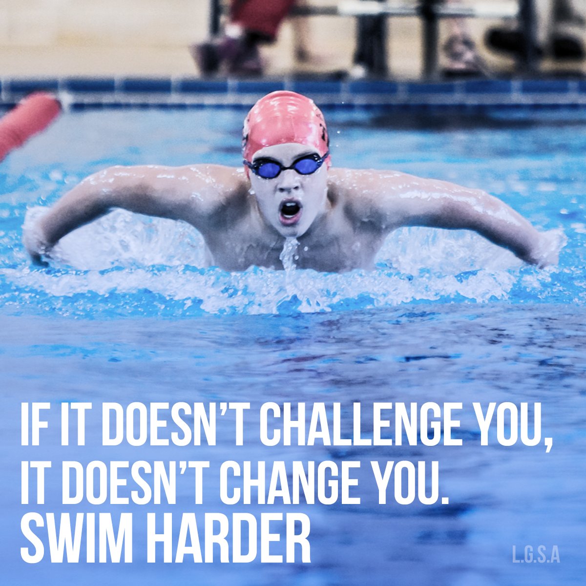 Lake Geneva Swimming Association tweet media