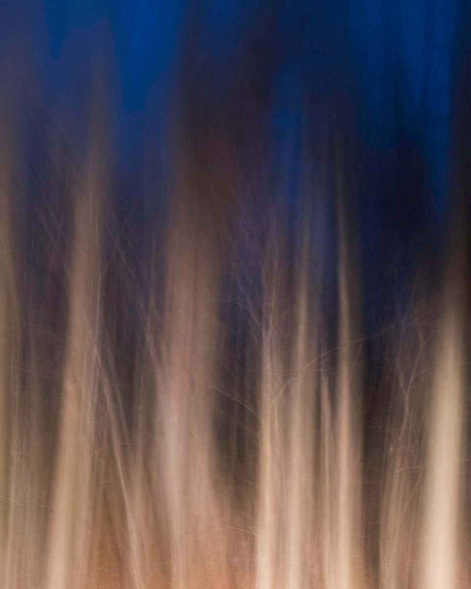 folioSWEEP's tweet image. Photographer Spotlight: Emily Vallee booooooom.com/2017/08/25/pho…