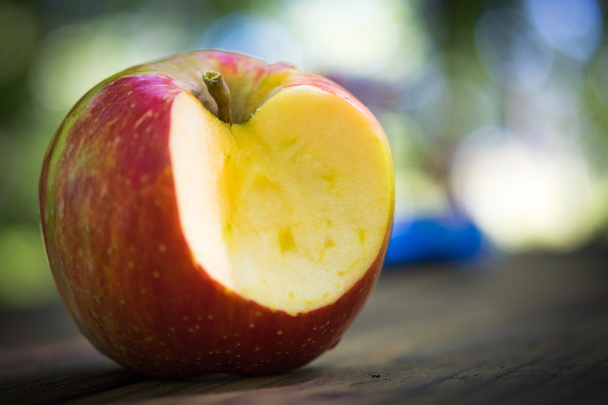 TheAppleWorks's tweet image. The ritual of sampling apples for ripeness. We do it all by taste. #appleworks #indianagrown #freshproduce
